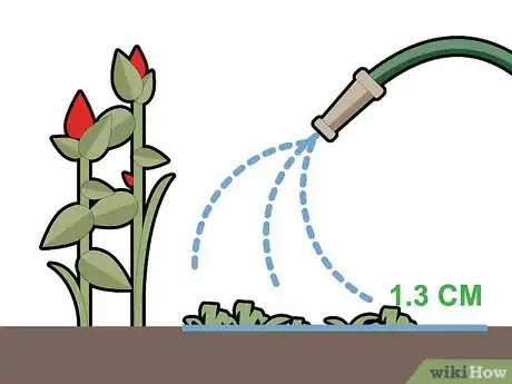 Image titled Kill Grass Invading a Flower Bed Step 14