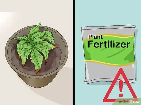 Image titled Fix Common Indoor Herb Garden Problems Step 9
