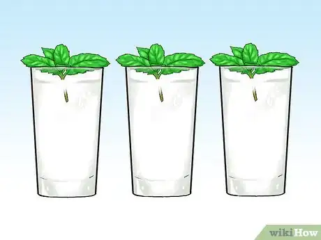 Image titled Grow Mint in a Pot Step 24