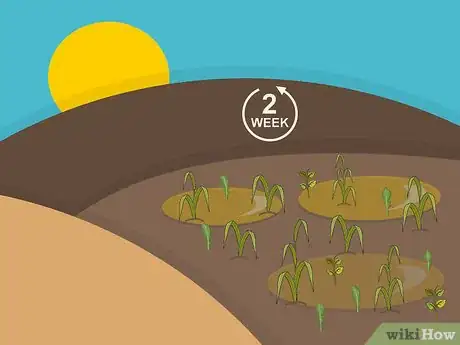 Image titled Plant a St Augustine Sod Step 03