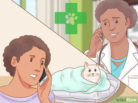 Image titled Diagnose and Treat Hypothermia in Cats Step 10