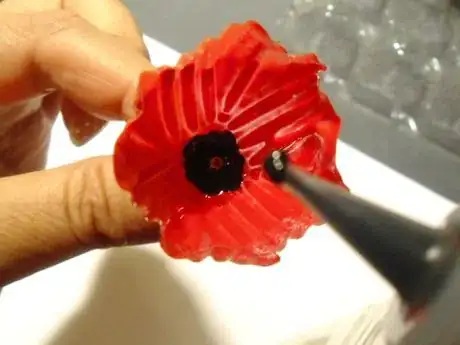 Image titled Tpf12_56.JPG