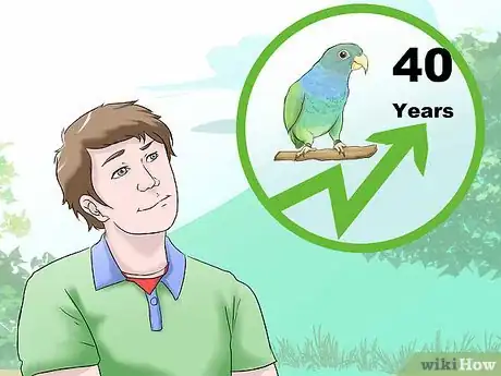 Image titled Know if a Pionus Parrot Is Right for You Step 1