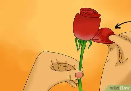 Image titled Keep Rose Petals Fresh Step 6