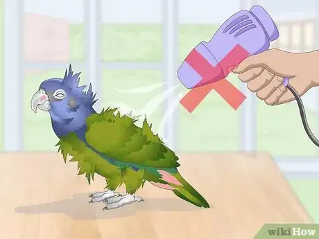 Image titled Keep Pionus Parrots Groomed Step 6