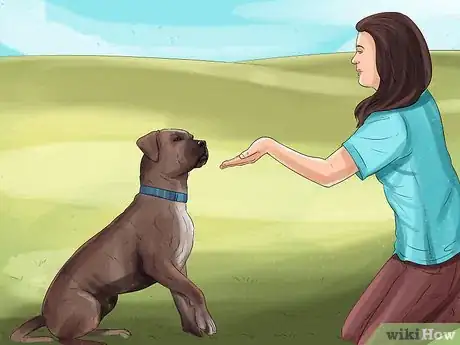 Image titled Prepare Your Dog for the Vet Step 1