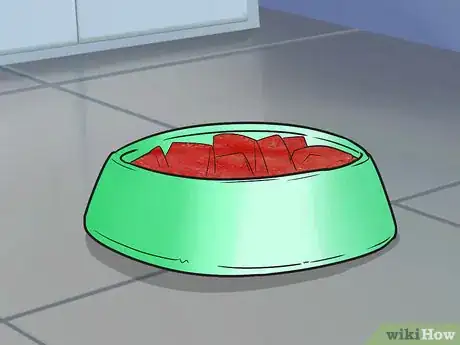 Image titled Buy a Turtle Step 9