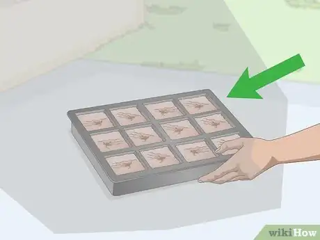 Image titled Plant Guanabana Seeds Step 10