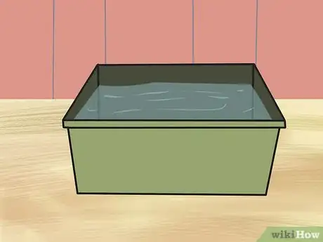 Image titled Care for an Arabian Horse Step 6