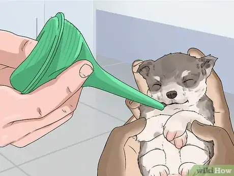 Image titled Whelp and Raise a Single Puppy Step 7
