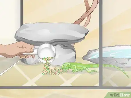 Image titled Care for a Green Iguana Hatchling Step 9