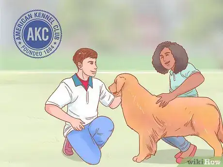 Image titled Buy a Golden Retriever Puppy Step 5