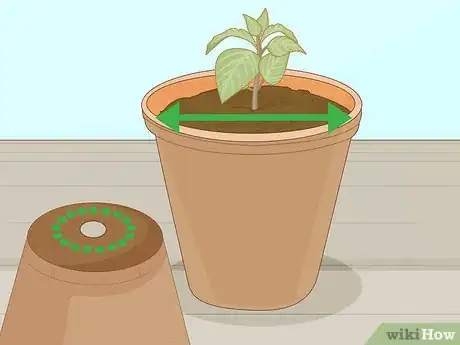 Image titled Plant Succulents Indoors Step 2