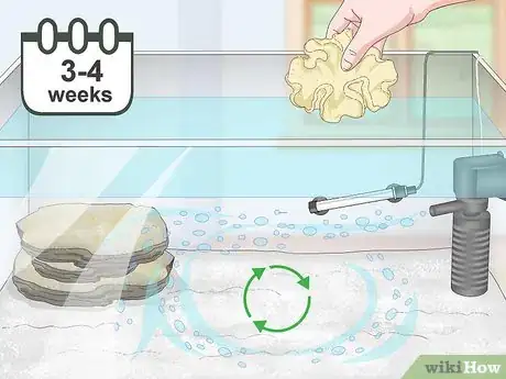Image titled Set up a Small Reef Aquarium Step 10