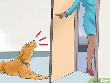 Image titled Diagnose Behavioral Dysfunction in Senior Dogs Step 2