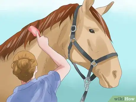 Image titled Prepare for a Horse Show Step 19