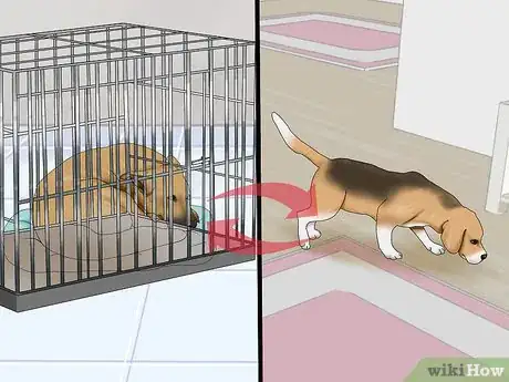 Image titled Introduce a New Dog to Your Senior Dog Step 3
