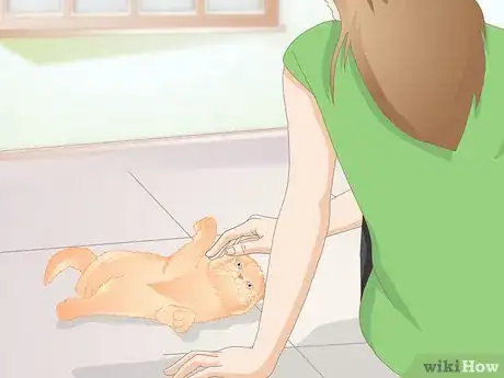 Image titled Stop Cats from Eating Indoor Plants Step 6