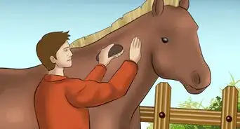 Catch a Horse