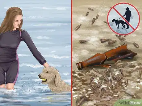 Image titled Care for Your Dog on the Beach Step 12
