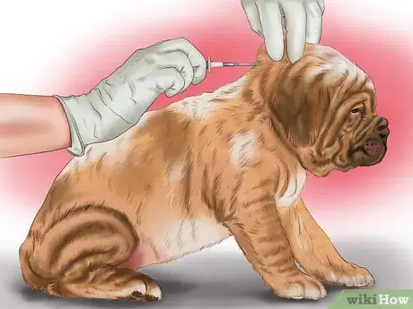 Image titled Find a Lost Dog Step 29