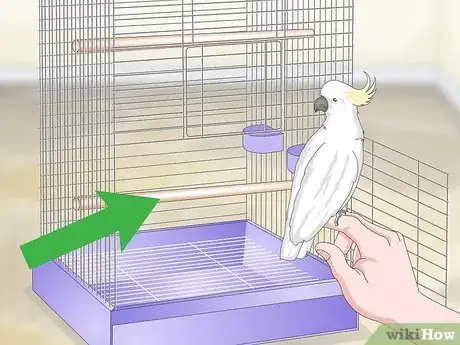 Image titled Clean a Cockatoo Cage Step 12