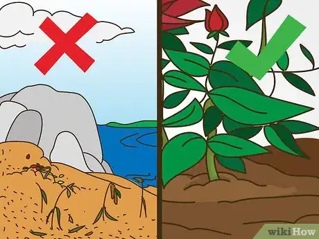 Image titled Maintain Roses Step 22