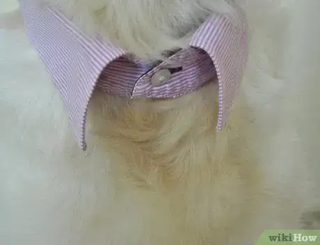 Image titled Craft a Dog Collar from an Old Shirt Step 3
