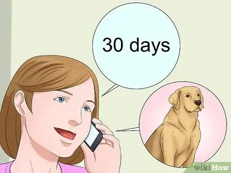 Image titled Select a Labrador Retriever Step 9