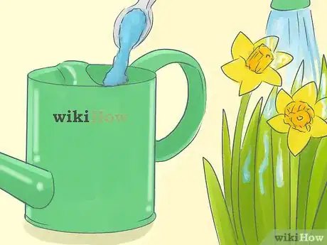 Image titled Transplant Daffodils Step 9