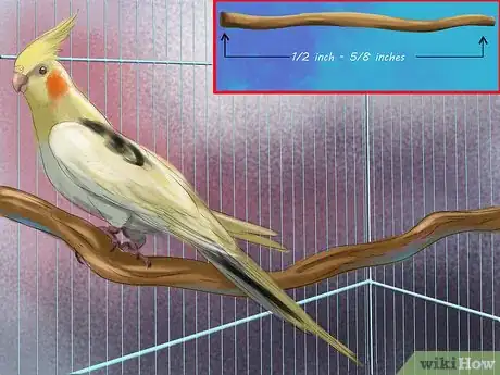 Image titled Keep Your Pet Occupied when You Are Not at Home Step 6