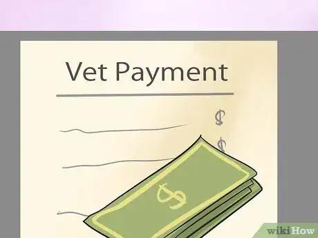 Image titled Choose a Vet for Your Horse Step 11