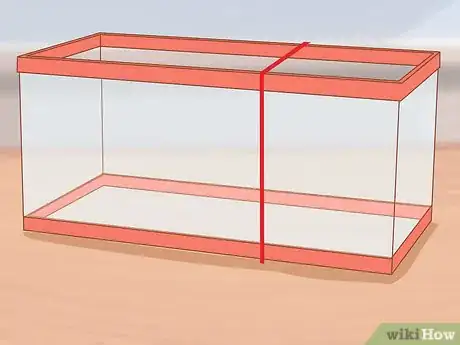 Image titled Know if a Pet Mouse Is Right for You Step 3