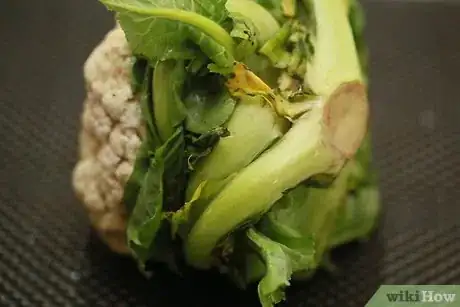 Image titled Steam Cauliflower Step 1Bullet1