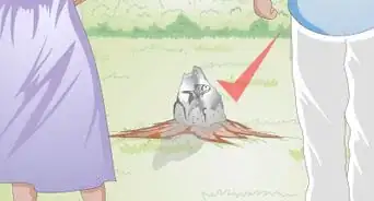 Make a Goldfish More Interesting