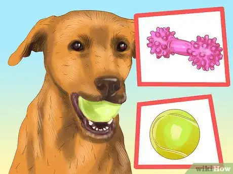 Image titled Make Your Home Safer for a Senior Dog Step 11