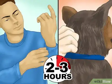 Image titled Prevent Tick Bites While Camping Step 19