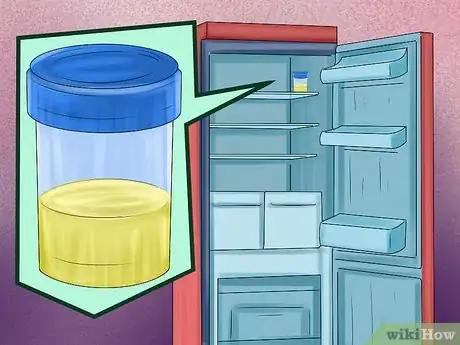 Image titled Prepare for Your Dog's Annual Vet Exam Step 12