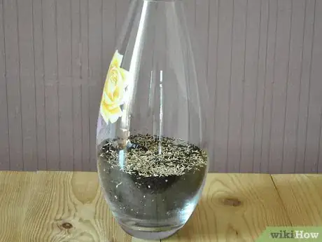 Image titled Make a Mini Biodome Step 3