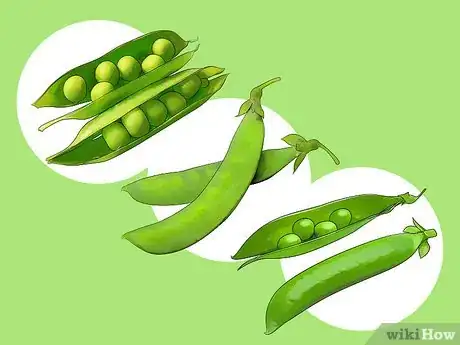 Image titled Grow Beans and Peas Step 4