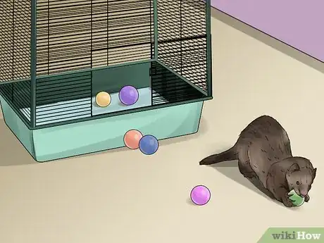 Image titled Care for a Ferret Step 13