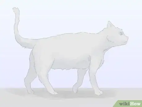 Image titled Handle a Stray Cat Step 9