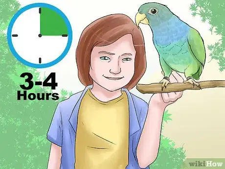 Image titled Know if a Pionus Parrot Is Right for You Step 2