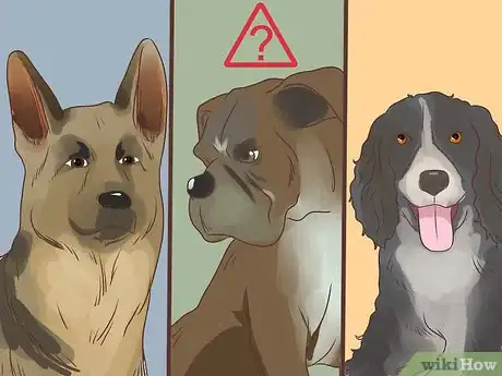 Image titled Diagnose Metabolic Disease in Older Dogs Step 4