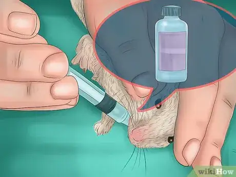 Image titled Treat Respiratory Problems in Gerbils Step 4
