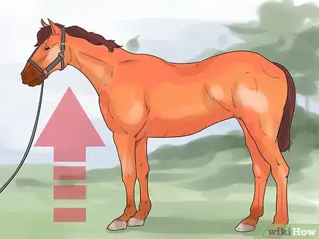 Image titled Do Condition Scoring for Horse Yearlings Step 1
