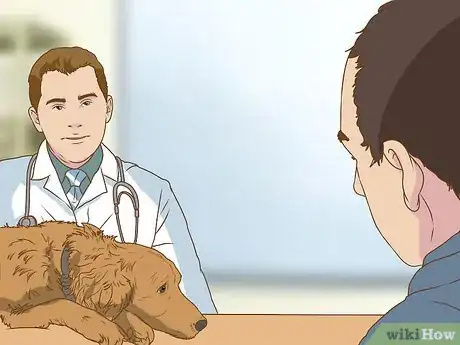 Image titled Get Veterinary Hospice Care for Your Dog Step 8