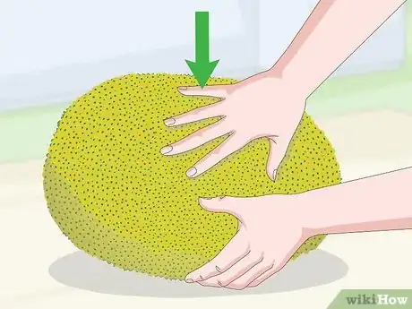 Image titled Buy Jackfruit Step 9