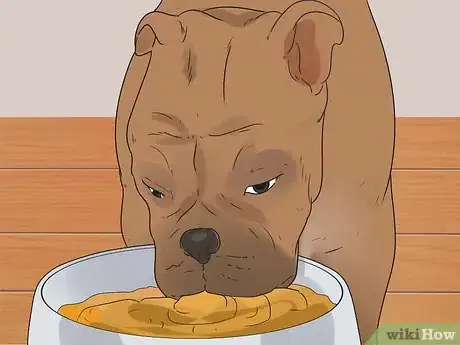 Image titled Care for Your Gun Dog Step 15