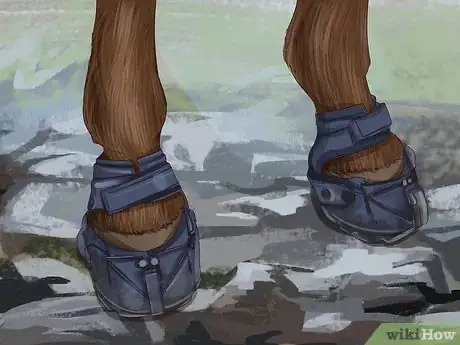 Image titled Know if Your Horse Needs Shoes Step 9